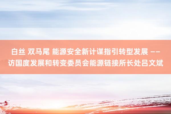 白丝 双马尾 能源安全新计谋指引转型发展 ——访国度发展和转变委员会能源链接所长处吕文斌