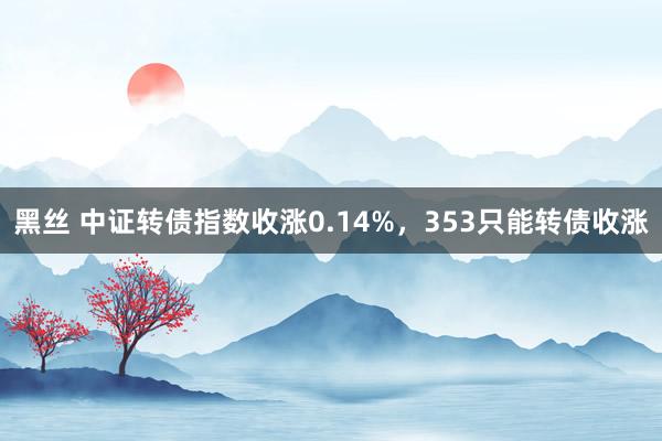 黑丝 中证转债指数收涨0.14%，353只能转债收涨