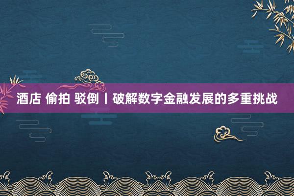 酒店 偷拍 驳倒丨破解数字金融发展的多重挑战
