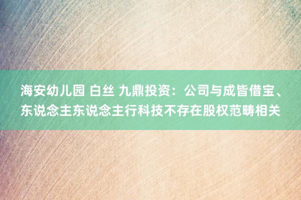 海安幼儿园 白丝 九鼎投资：公司与成皆借宝、东说念主东说念主行科技不存在股权范畴相关