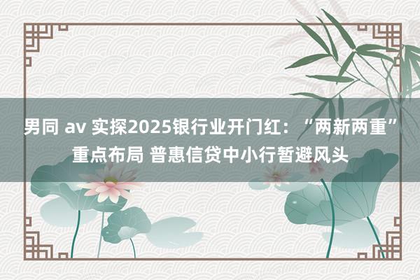 男同 av 实探2025银行业开门红：“两新两重”重点布局 普惠信贷中小行暂避风头